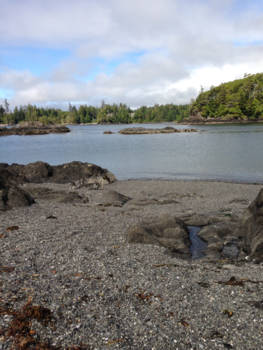 Vancouver Island - Omdat het zo prachtig is!