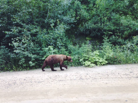 Jasper National Park