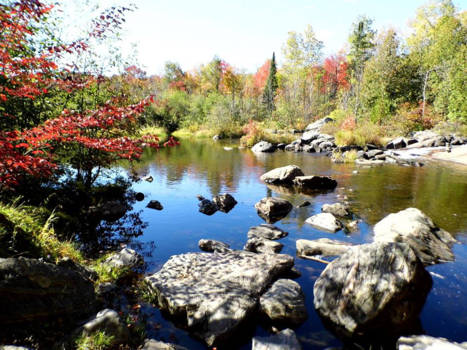 Algonquin provincial park - Geweldig park , waar je mooie wandeltochten kan maken .