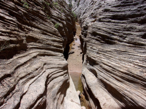 Verenigde Staten - Jolley Gulch, Zion NP