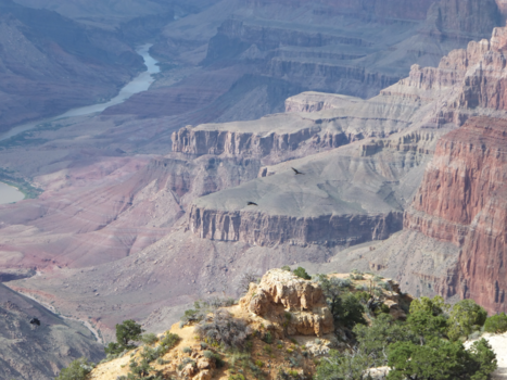Grand Canyon - Grand Canyon