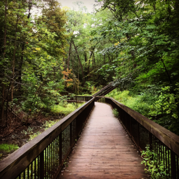 Toronto - Glen Stewart Ravine, Toronto