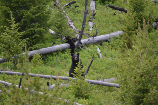 Verenigde Staten - Even d'r op uit als gezin