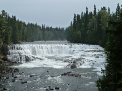 Jasper National Park - dawson falls
