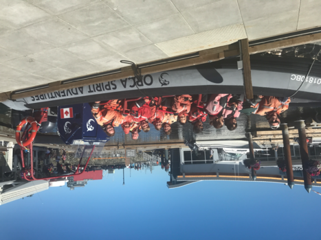 Vancouver Island - Whale trip