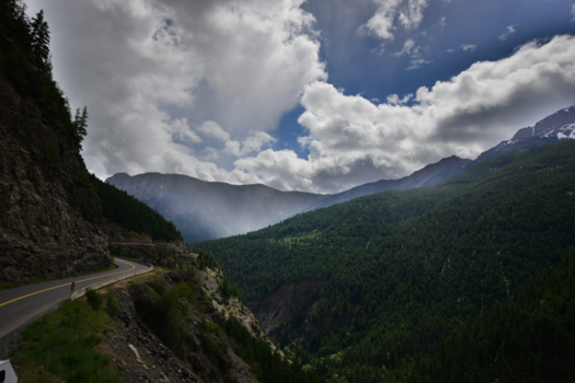 Canada - Misty woods