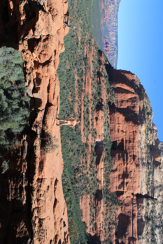 Verenigde Staten - Devil's Bridge bij Sedona