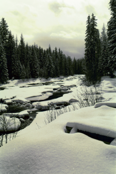 Verenigde Staten - Winters beekje