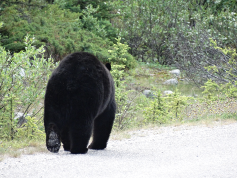 Canada - See you next time!