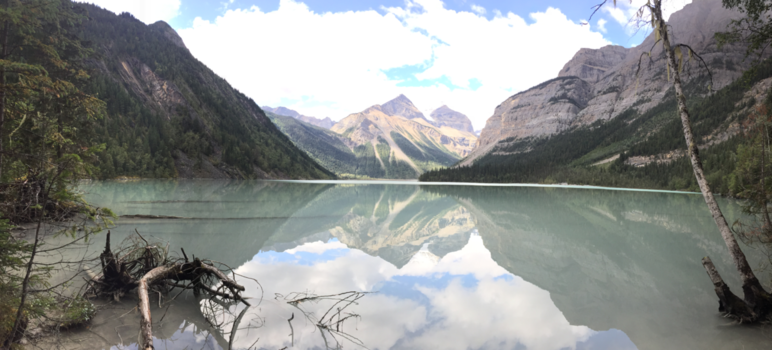 Canada - In the middle of nature
