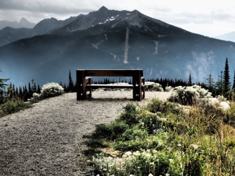 Canada - Prachtig uitzicht over de dennenbossen naar de bergen