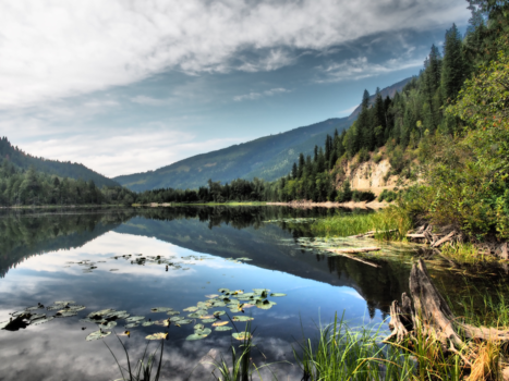 Canada - Een prachtig meer zomaar in Glacier National Park nabij Revelstoke