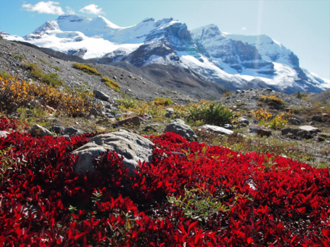 Canada - Natuurlijk schoon