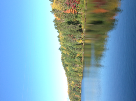 Algonquin provincial park - Wat is het gaaf daar in oktober