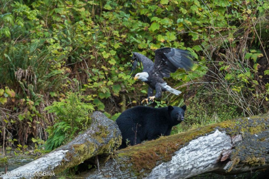 Vancouver Island - Catch of the day