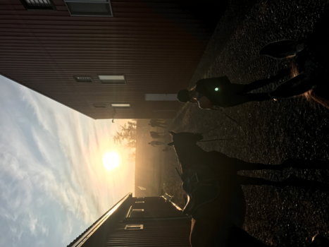 Calgary - Why I fell in love with Alberta