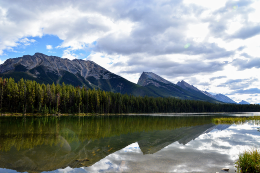 Canada - Honeymoonlake, Alberta.  Sept.2017