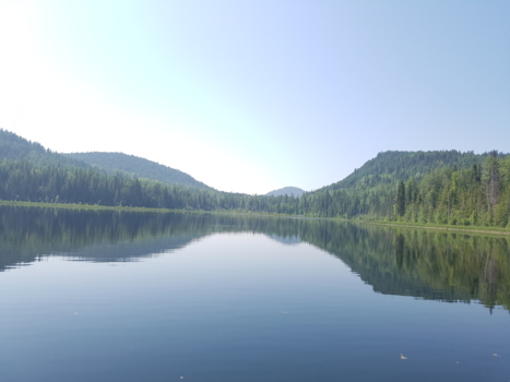 Canada - Color# geen filter