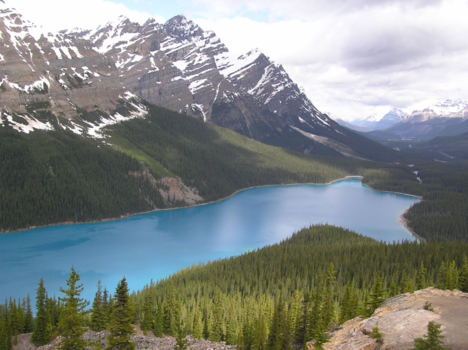 Canada - Peyto lake Canada het meer heeft de vorm van een hond.