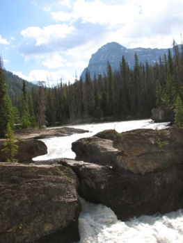 Canada - I fall for you