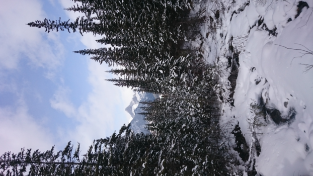 Calgary - The Revenant