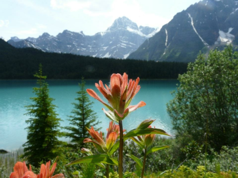 Canada - De overweldiging