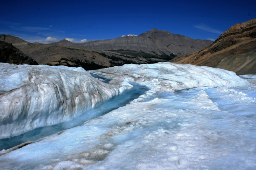 Jasper National Park - Icefield