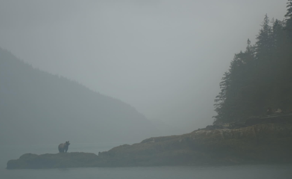 Vancouver Island - All alone