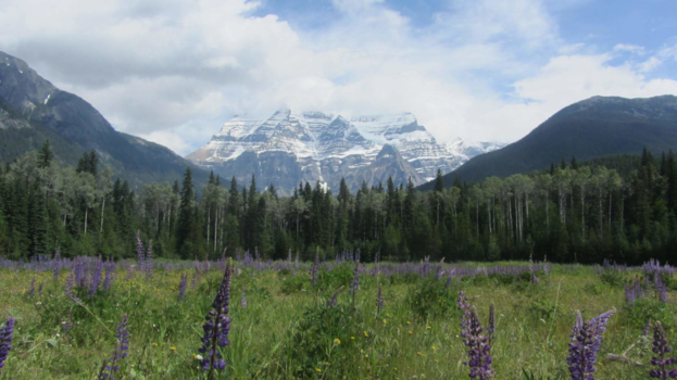 Canada - Mount robson
