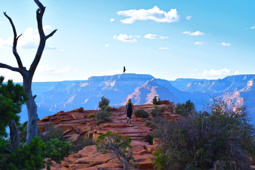 Grand Canyon - De wereld aan je voeten