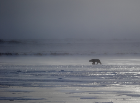 Churchill - On the move