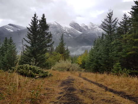 Canada - Mountain View