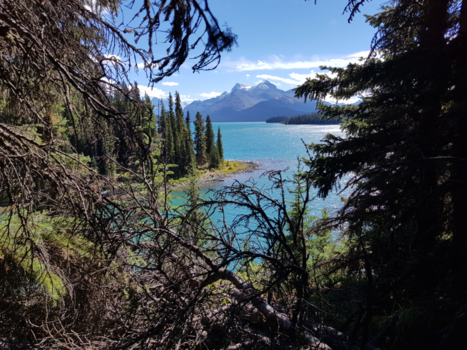 Canada - Maligne Lake
