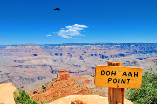 Grand Canyon - Ooh aah point