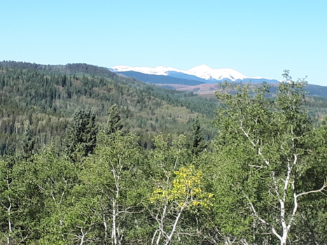 Calgary - Zicht op de Rocky's Moutains met hun eeuwige sneeuwtoppen