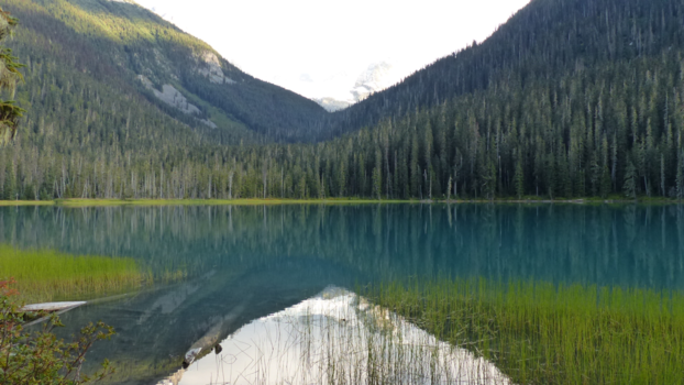 Canada - Natural Green