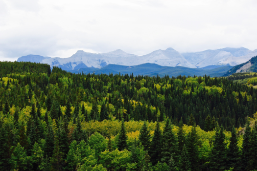 Canada - kananaskis country