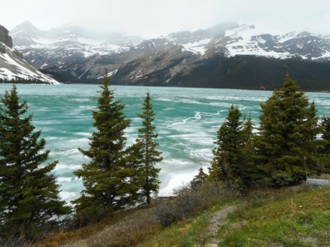 Canada - Bow Lake