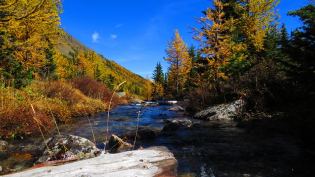 Canada - Indian Summer!!!