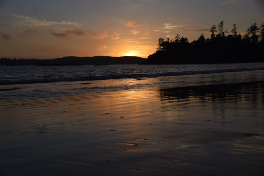 Tofino - Serenity