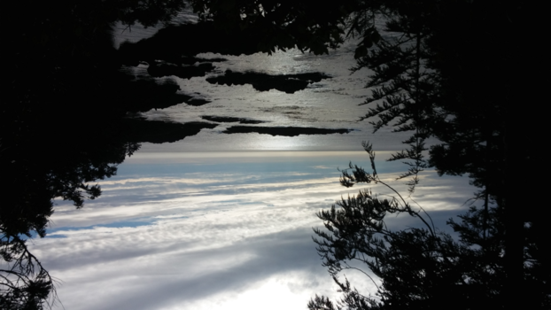 Vancouver Island - Pacific Rim