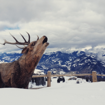 Canada - Viewll from up high