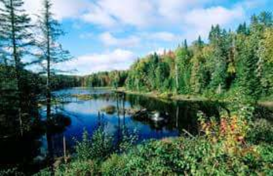 Canada - Mauricie national park