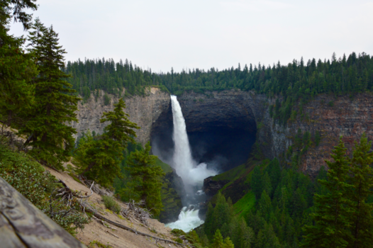 Wells Gray provincial park - Natuur op z'n best