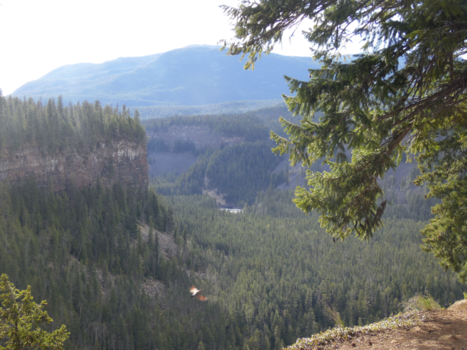 Wells Gray provincial park - View