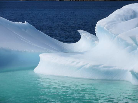 Newfoundland - Icebergs alley