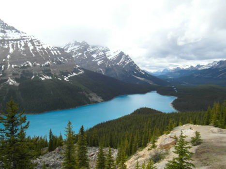 Lake Peyto - Peyto Lake, Canada