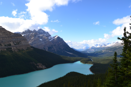 Canada - Peyto lake