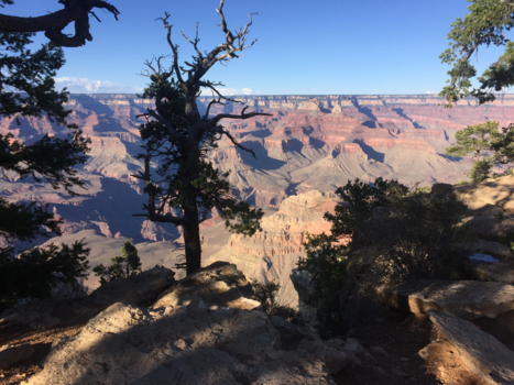 Grand Canyon - Feeling small in the Grand Canyon