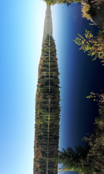 Algonquin provincial park - Spiegelbeeld